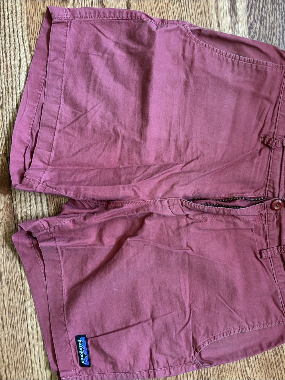 Patagonia Men’s Salmon Colored Casual Shorts